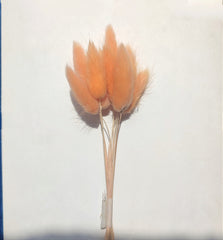 BUNNY TAIL GRASS TOPPERS 10PCS