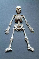 HALLOWEEN SKELETON MOULD