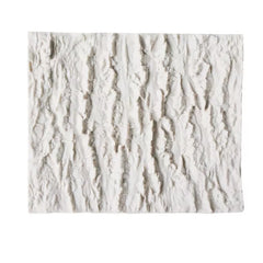 TREE BARK MOULD (WIDE BURROWS)