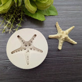 3D LARGE STAR FISH MOULD