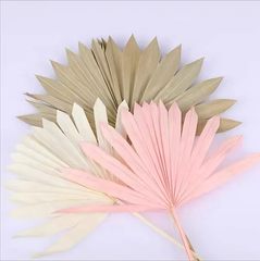 LARGE DRIED FANS/PALMS CAKE TOPPER 1PC