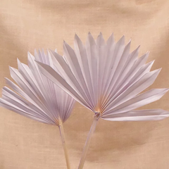 LARGE DRIED FANS/PALMS CAKE TOPPER 1PC