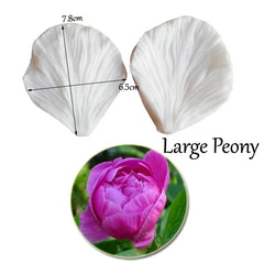 PEONY FLOWER PETAL VEINER