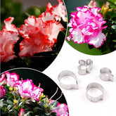 BELGIUM AZALEA FLOWER PETAL CUTTERS SET A323