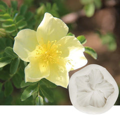 MINI MOANA/HIBISCUS FLOWER MOULD