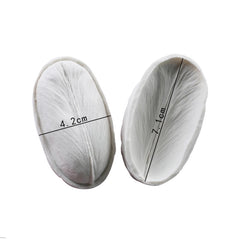 TULIP FLOWER PETAL VEINER