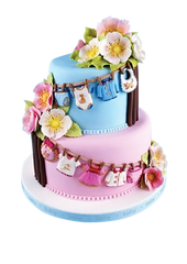 BABY CLOTHES ON A HANGING LINE MOULD