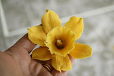 DAFFODIL/JANQUIL FLOWER PETAL CUTTERS SET A607