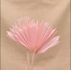 LARGE DRIED FANS/PALMS CAKE TOPPER 1PC