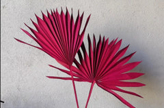 LARGE DRIED FANS/PALMS CAKE TOPPER 1PC