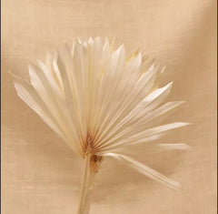 LARGE DRIED FANS/PALMS CAKE TOPPER 1PC