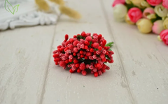 MULBERRY FLOWER STAMENS {VARIOUS}