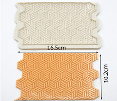 OPTICAL ILLUSION PANEL MOULD