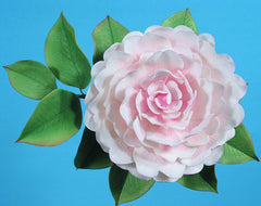 FUSCHIA FLOWER PETAL CUTTER SET A324