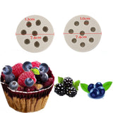 BLUEBERRY AND RASPBERRY FRUITS MOULD 1PC
