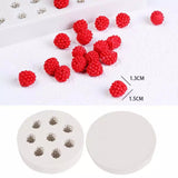 BLUEBERRY AND RASPBERRY FRUITS MOULD 1PC
