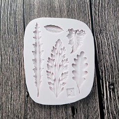 ASSORTED LEAVES MOULD