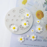 TINY ASSORTED DAISY FLOWERS MOULD 13PCS