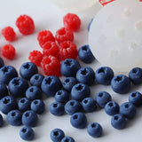 BLUEBERRY AND RASPBERRY FRUITS MOULD 1PC