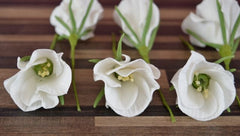 LISIANTHUS/EUSTOMA FLOWER PETAL CUTTERS SET A332